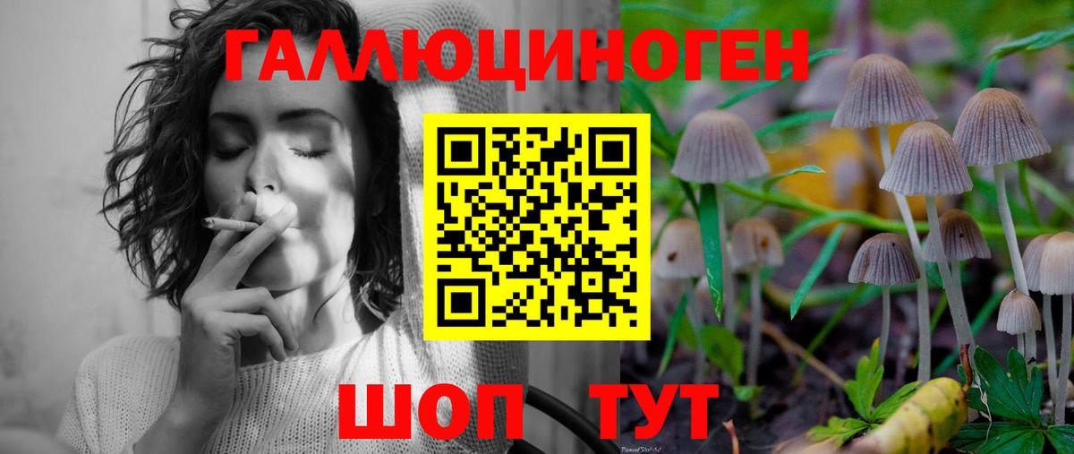 Галлюциногенные грибы Cubensis  Вход с VPN  Сургут 